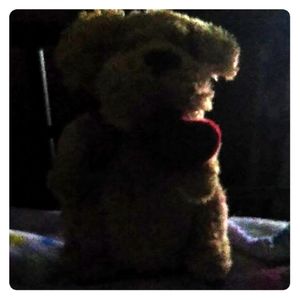 A teddy bear